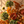October