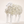twist sheep