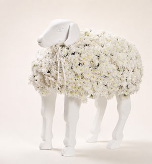 twist sheep