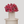 Sweet Roses