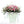 Pop Fleur Exotic