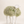 twist sheep