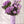 Jeweled Blooms