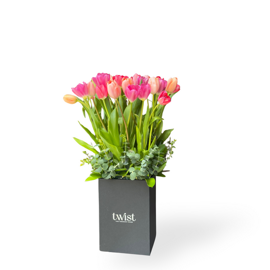 Black Tulips