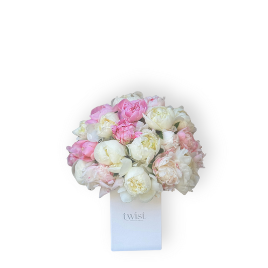 Peony Petals