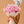Peony Dreams Graduation Bouquet