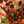 Autumn Ember