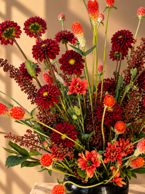 Autumn Ember