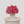 Sweet Roses