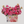Mom’s Floral Bliss - Fleurie