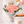 Blush Roses Bouquet
