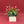Jingle Tulips