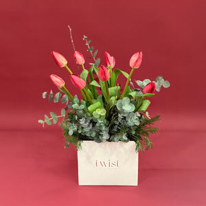Jingle Tulips