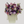 Pop Fleur Symphony
