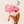 Peony Dreams Graduation Bouquet