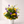 Porcelain garden bloom