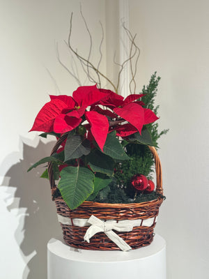 Poinsettia Basket