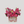 Mom’s Floral Bliss - Fleurie