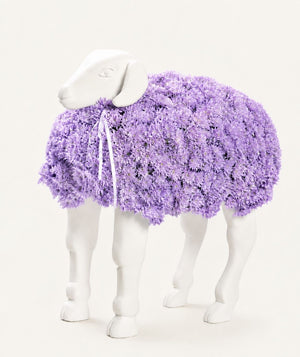 Twist Sheep