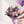 The Purple Bouquet