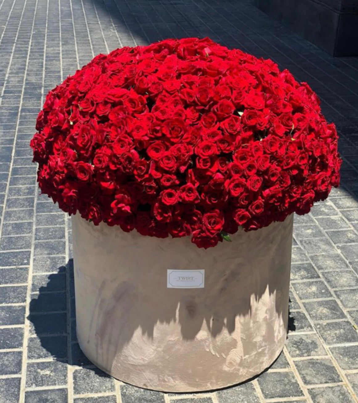 XXL Velvet Red Roses