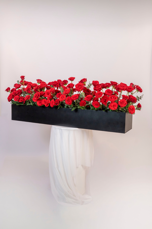 A Mile of Roses