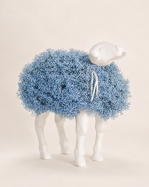 Twist Sheep
