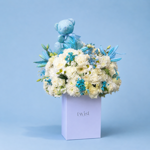 Teddy Blue Box
