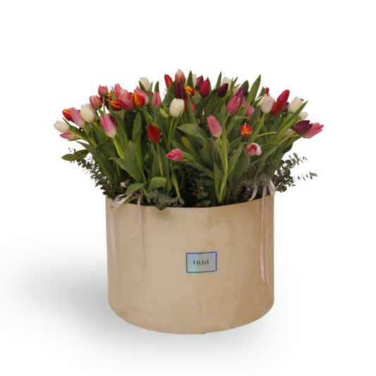 Velvet Tulips Hug
