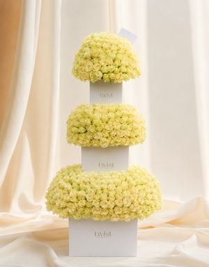 Signature White Trio
