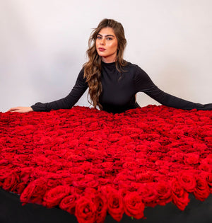 Thousand Rose Majesty